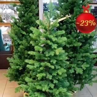 РОЖДЕСТВЕНСКАЯ РАСПРОДАЖА ЁЛОЧЕК -23%