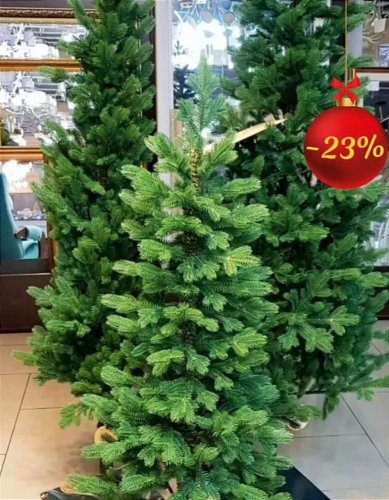 РОЖДЕСТВЕНСКАЯ РАСПРОДАЖА ЁЛОЧЕК -23%