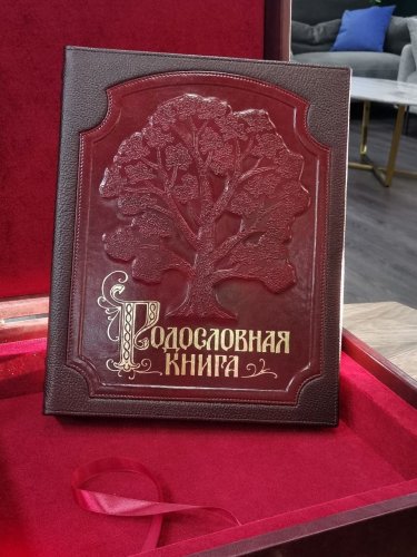 РОДОСЛОВНЫЕ и ПОДАРОЧНЫЕ КНИГИ 