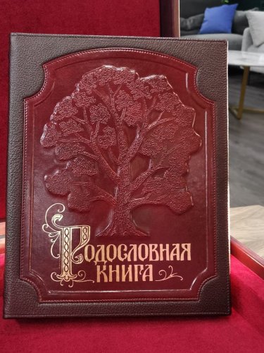 РОДОСЛОВНЫЕ и ПОДАРОЧНЫЕ КНИГИ 