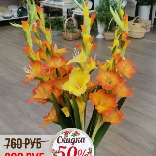 СКИДКА на декоративные цветы от -50% до -70%