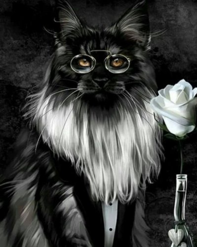 КОТЫ и котики