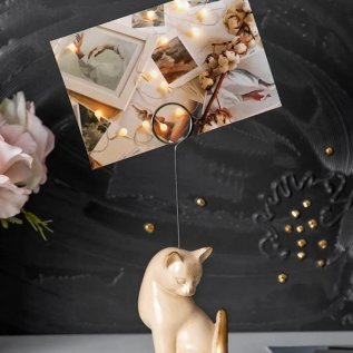 КОТЫ и котики