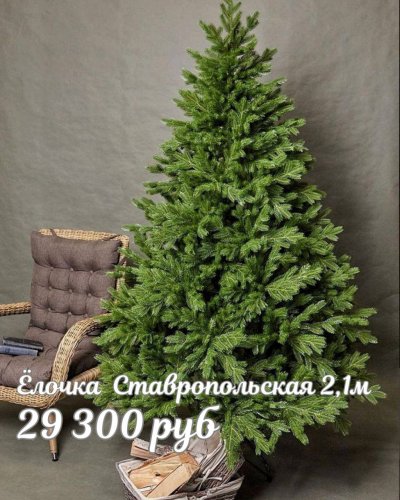 ЁЛОЧКИ ТЦ ДЕКОРУМ
