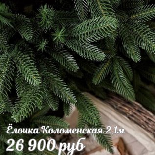 ЁЛОЧКИ ТЦ ДЕКОРУМ