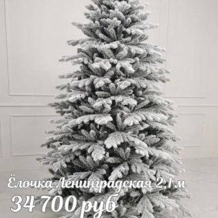 ЕЛОЧКИ РОЖДЕСТВЕНСКИЕ