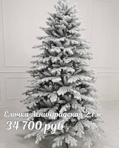 ЕЛОЧКИ РОЖДЕСТВЕНСКИЕ