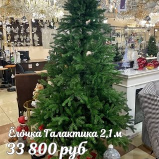 ЕЛОЧКИ РОЖДЕСТВЕНСКИЕ