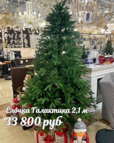 ЕЛОЧКИ РОЖДЕСТВЕНСКИЕ