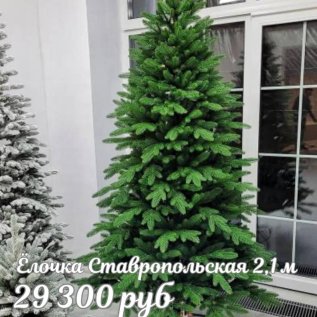 ЕЛОЧКИ РОЖДЕСТВЕНСКИЕ