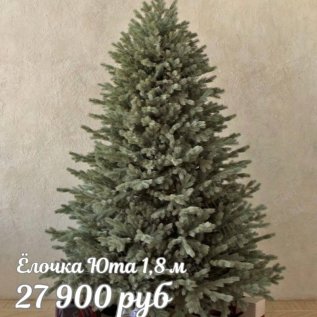 ЕЛОЧКИ РОЖДЕСТВЕНСКИЕ