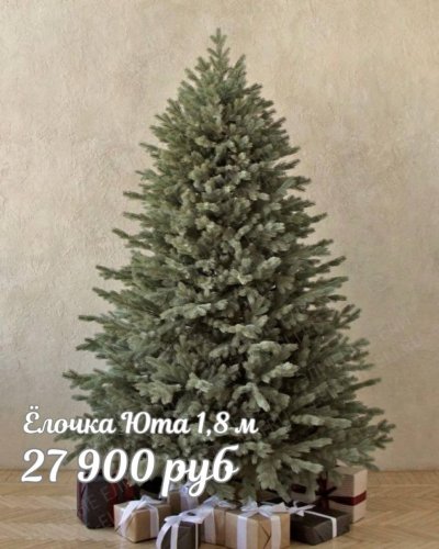 ЕЛОЧКИ РОЖДЕСТВЕНСКИЕ