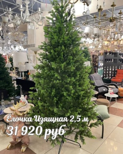 ЕЛОЧКИ РОЖДЕСТВЕНСКИЕ