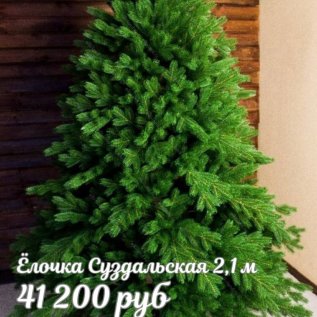 ЕЛОЧКИ РОЖДЕСТВЕНСКИЕ